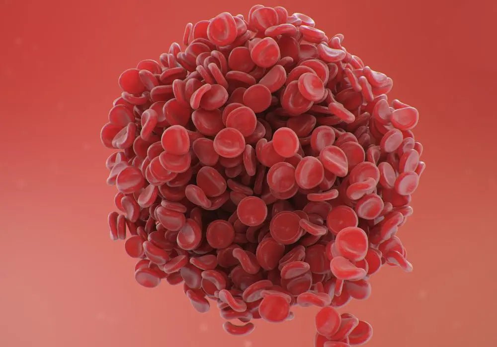 Xarelto: A Comprehensive Guide to Uses, Dosage, Side Effects, and the Critical Importance of Timely Dosing - Nudge Health